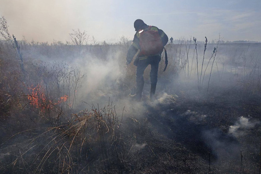 Фото: МЧС России по Рязанской области