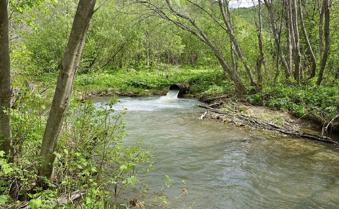 сайт Русского географического общества