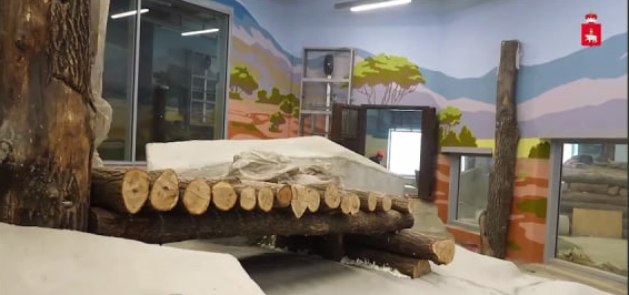 Правительство Пермского края