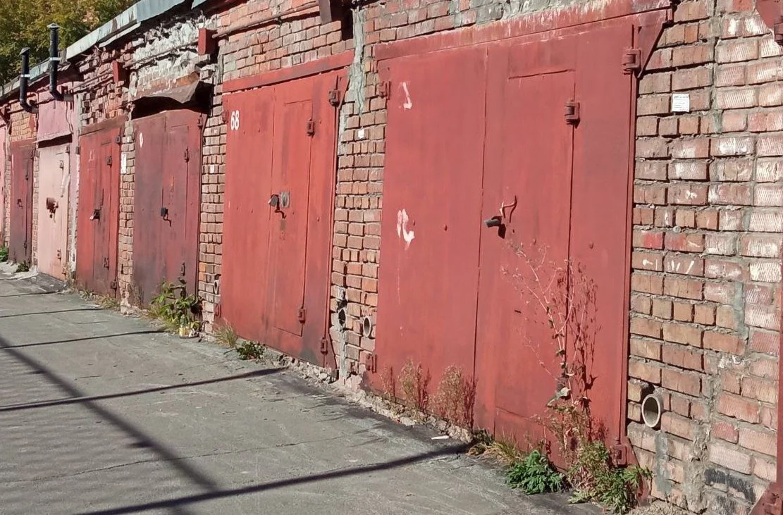 Михаил Шестаков / РБК Новосибирск