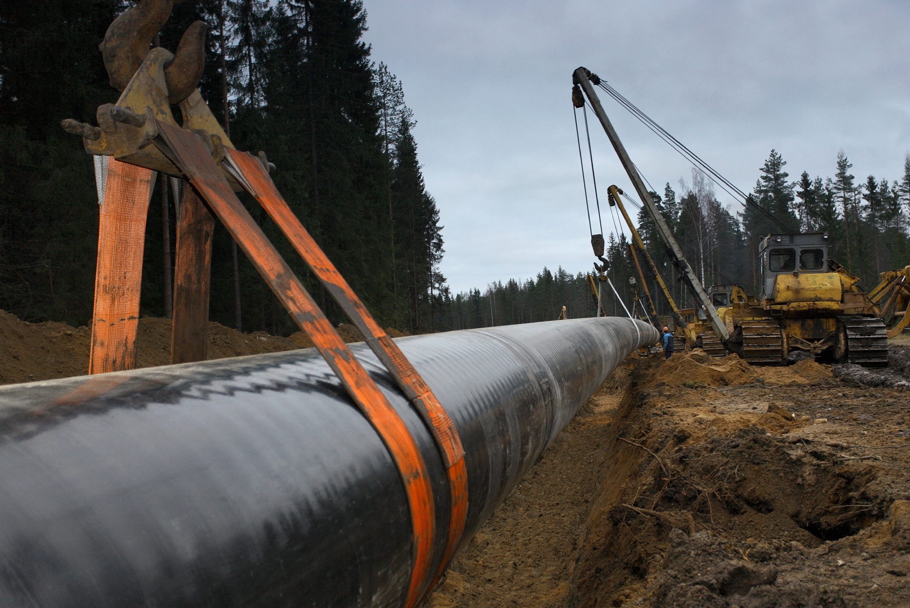 Фото: Холявчук Светлана/PhotoXPress.ru