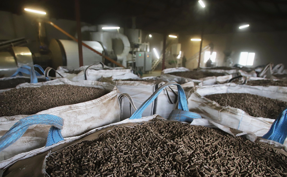 Денис Абрамов / РИА Новости