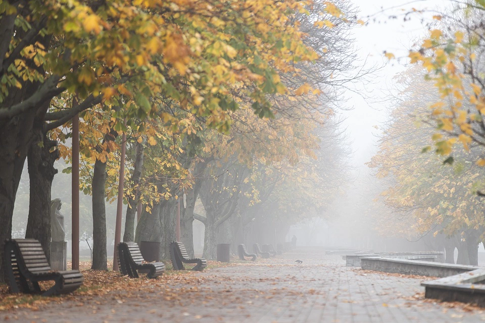 Александр Подгорчук