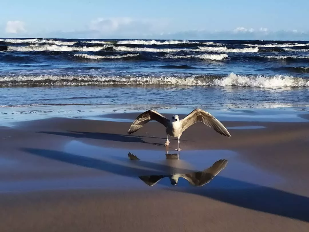 РБК Приморье