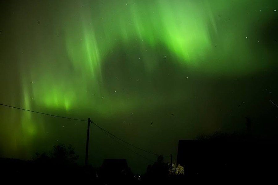 Фото: Эрика Раймундовна / Telegram