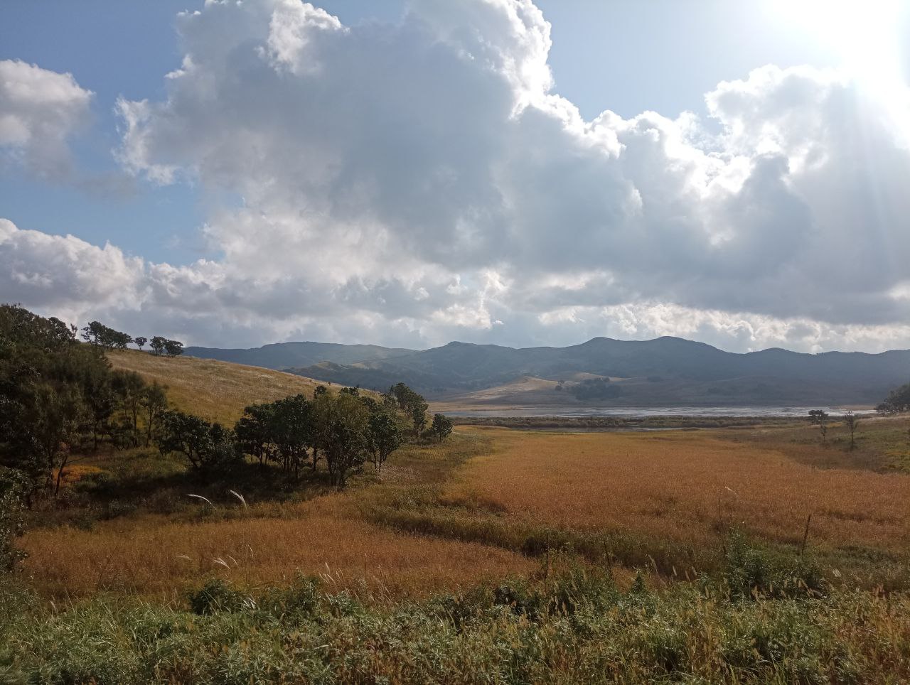 Фото: РБК Приморье