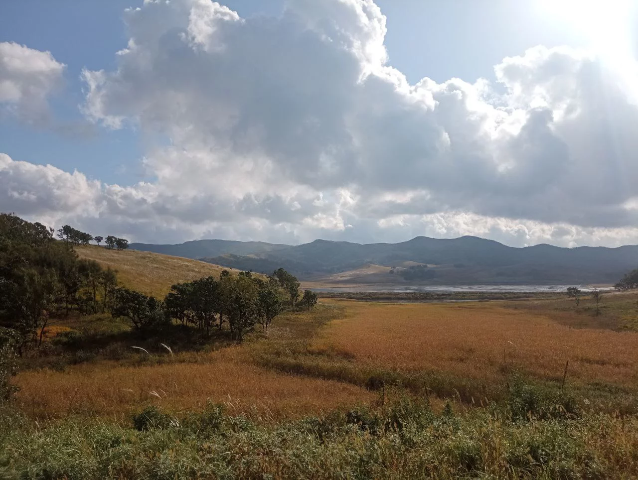 РБК Приморье