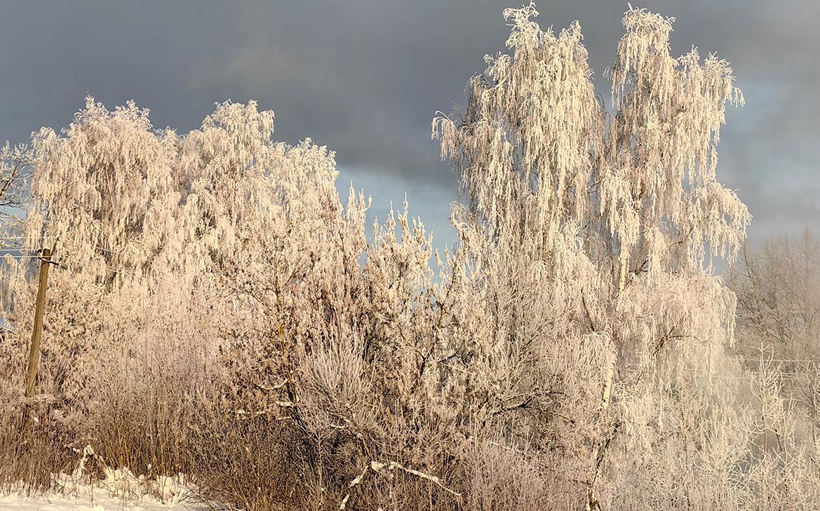 В Подмосковье минувшая ночь стала самой холодной с начала зимы