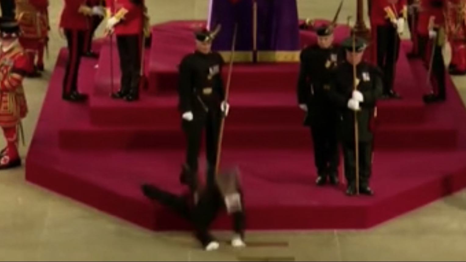 Королевский стражник упал в обморок на дежурстве у гроба Елизаветы II