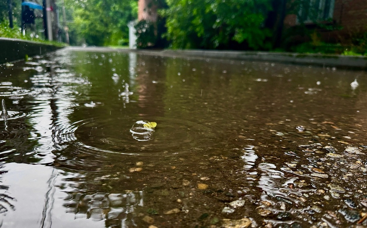 Анастасия Батаршинова, РБК Краснодар