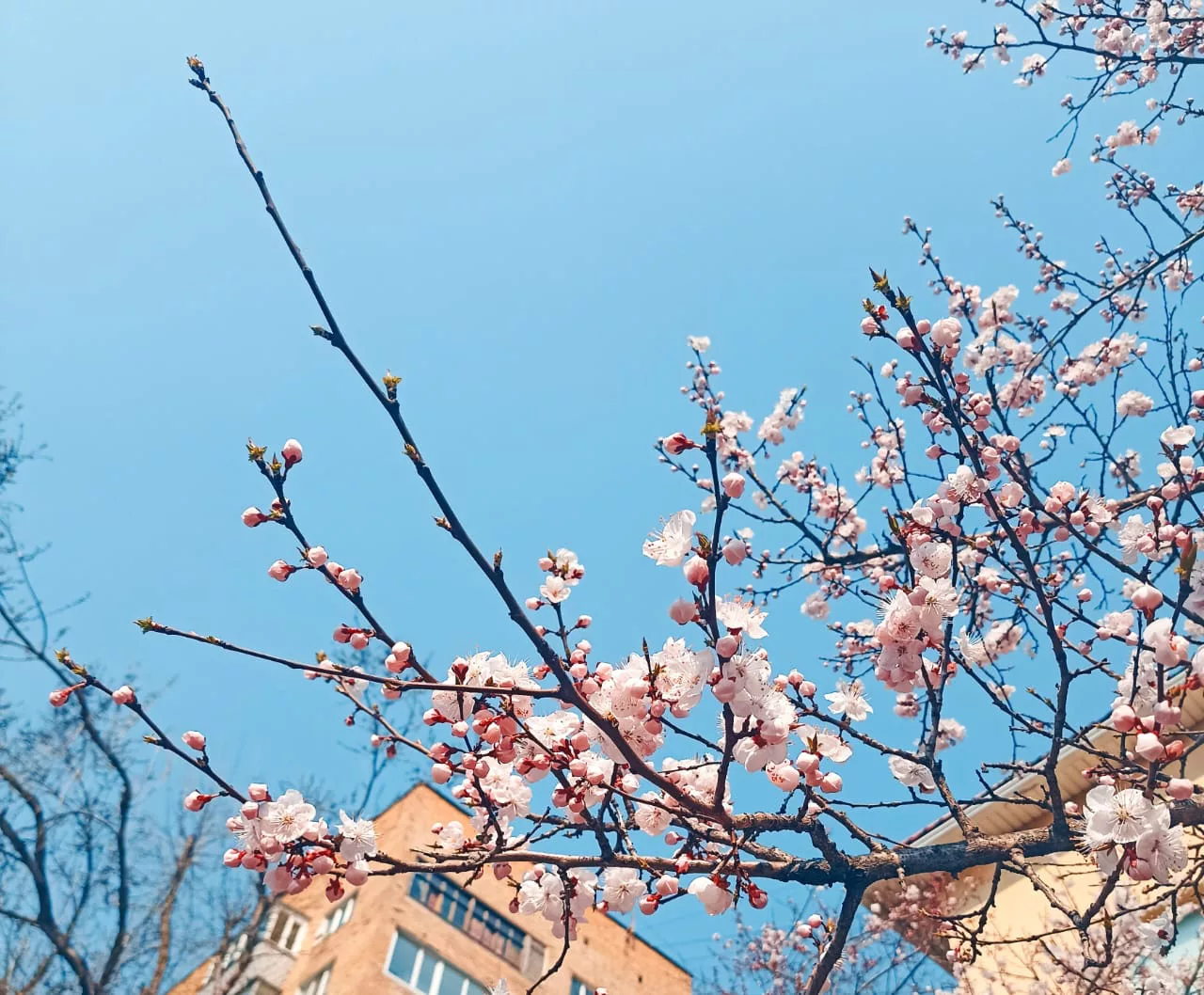 РБК Приморье