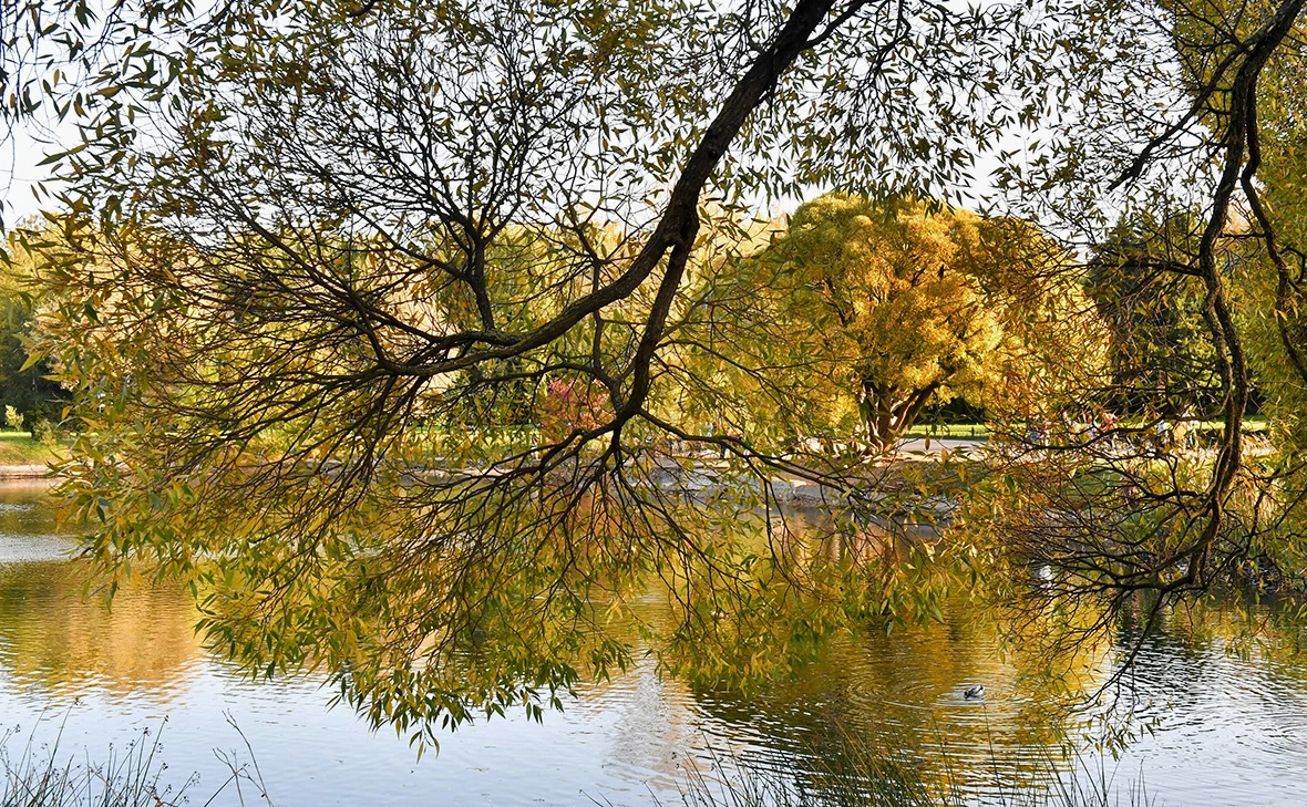 Сергей Киселев / АГН «Москва»