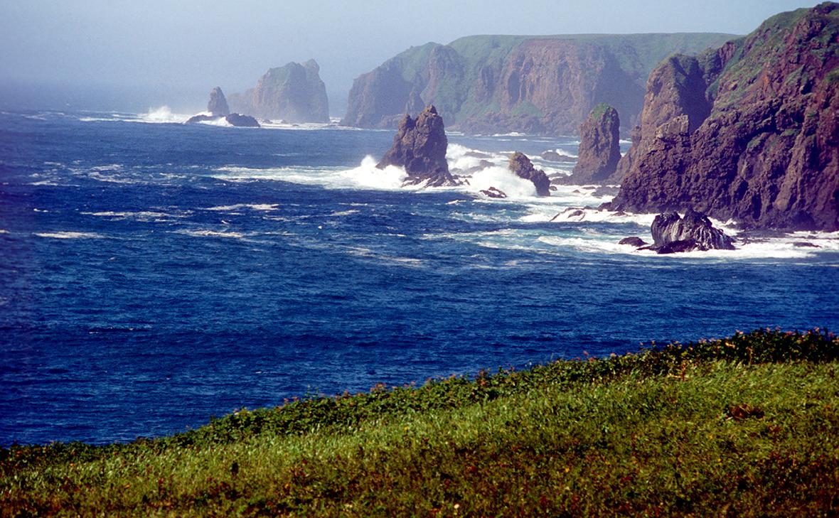 Фото: Александр Лыскин / Global Look Press