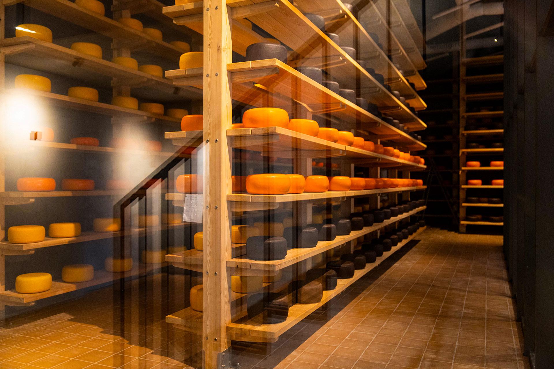 Сырный завод