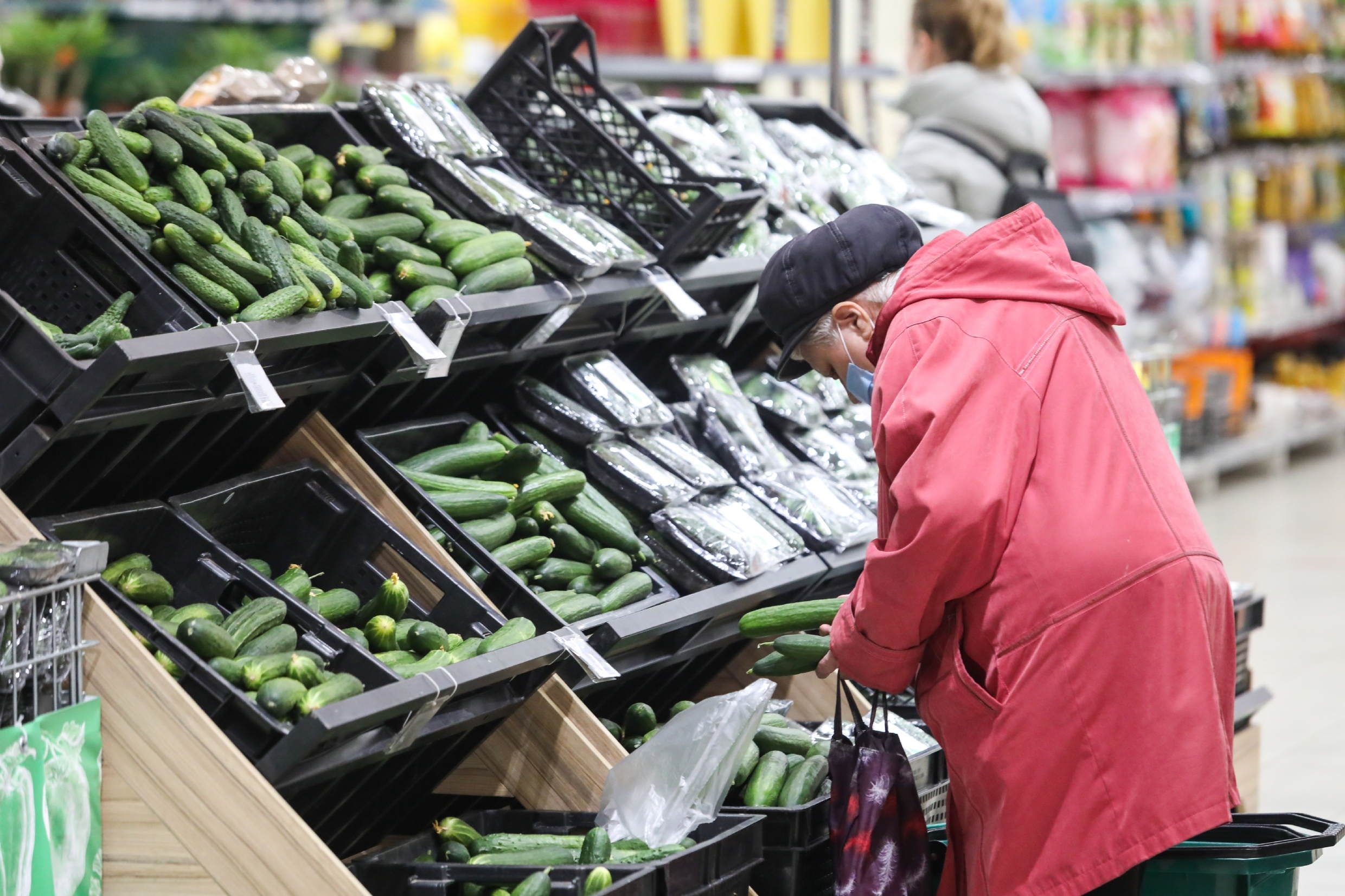 Фото: Пименов Роман/PhotoXPress.ru