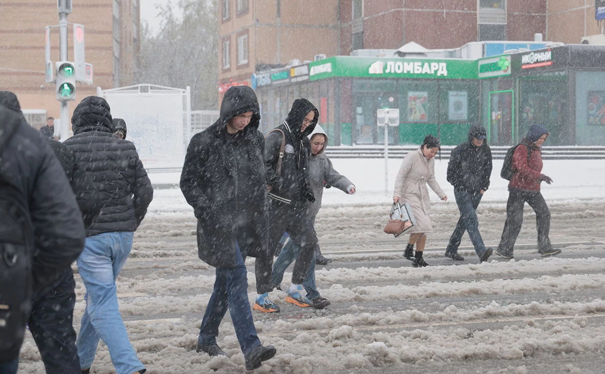 Михаил Гребенщиков / РБК