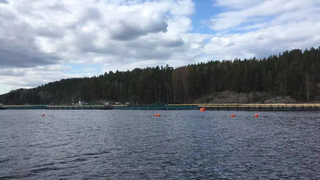 vk.com/mcx_karelia