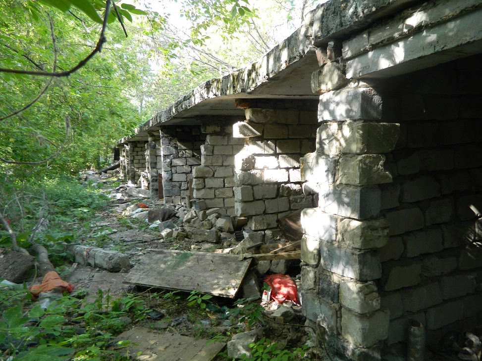 Михаил Лобанов