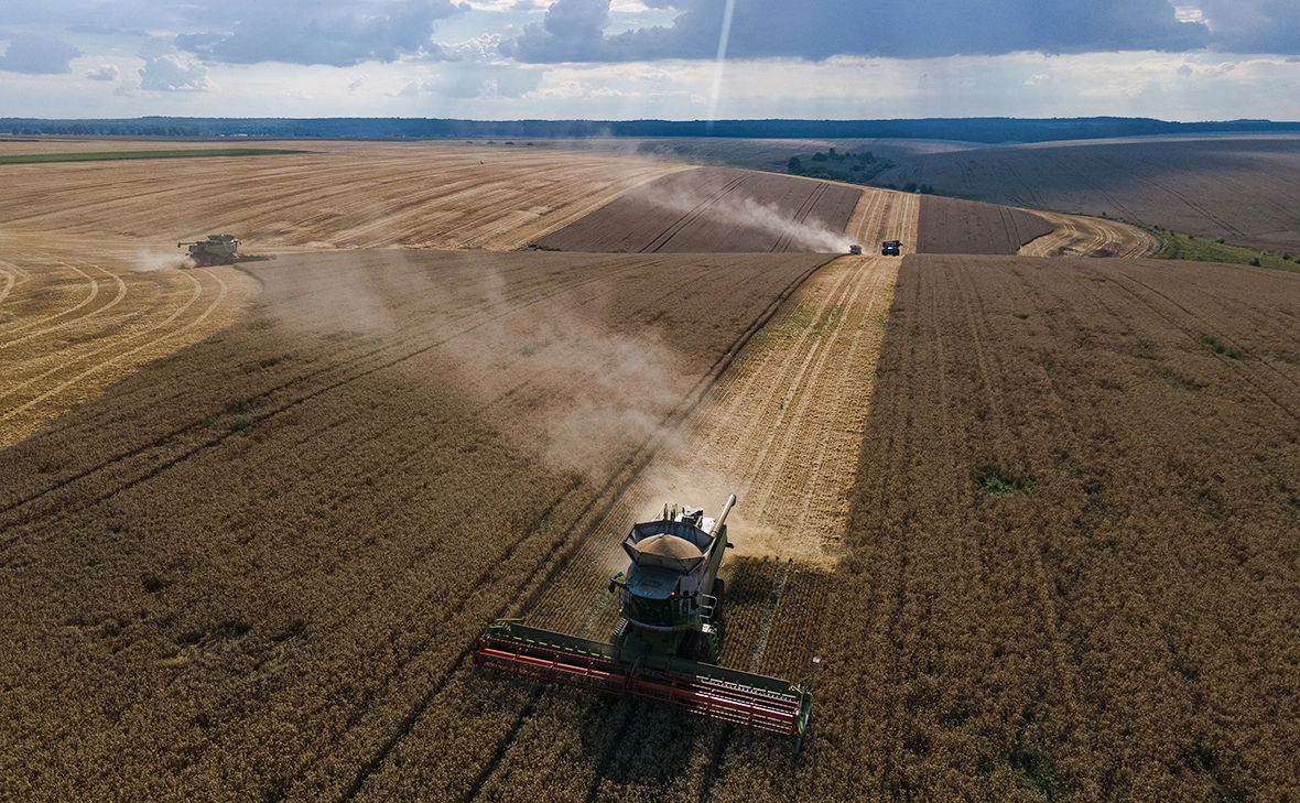Алексей Фурман / Getty Images