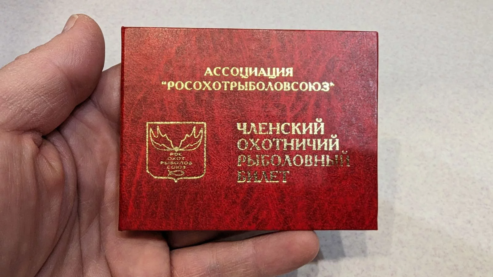 РБК Приморье