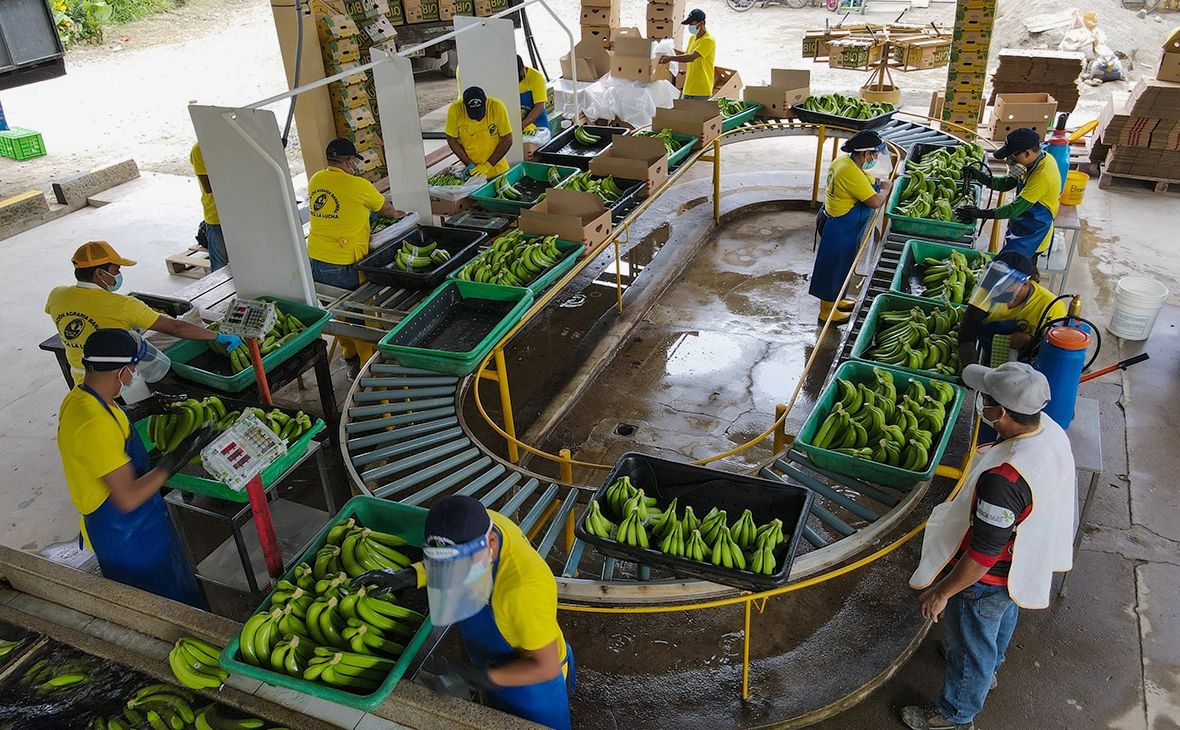 David Diaz / dpa / Global Look Press