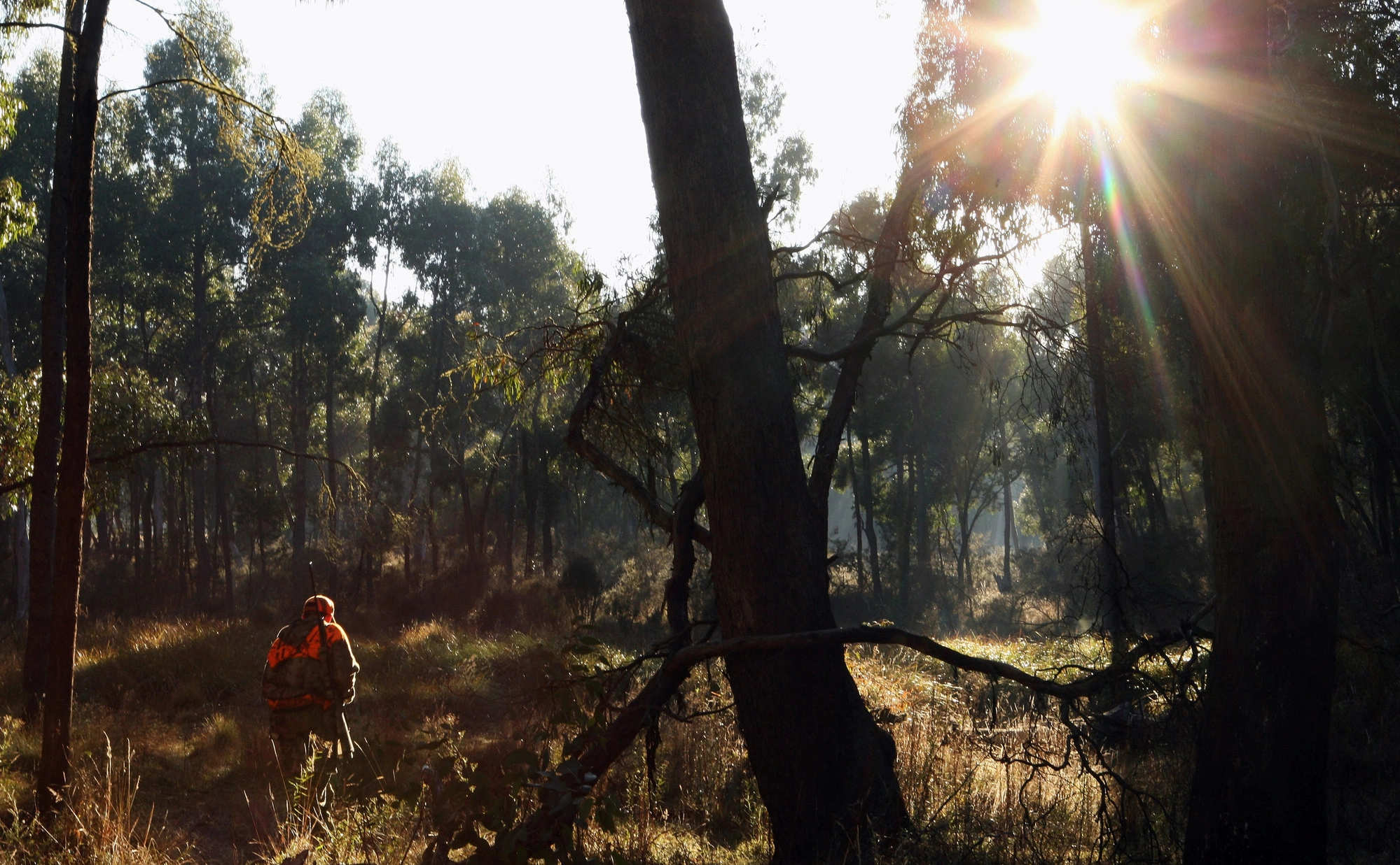 Mark Kolbe / Getty Images