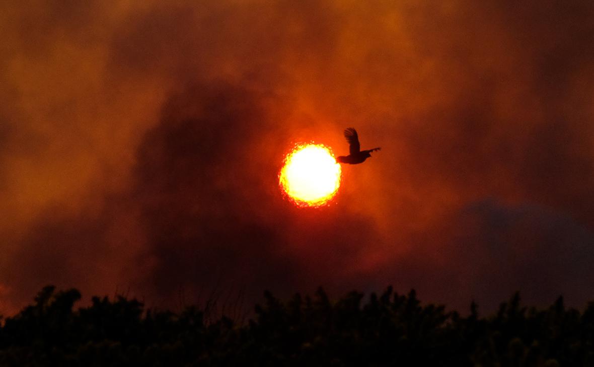 Фото: Ian Forsyth / Getty Images