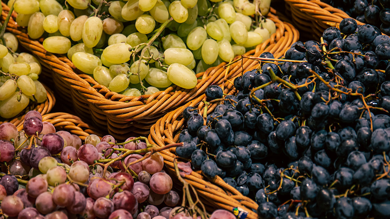 Ягоды мира: как проходит уборка винограда в других странах