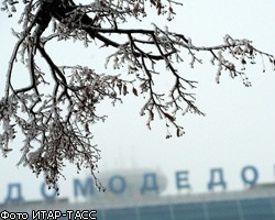 Аэропорт Домодедово подготовился к снегопаду