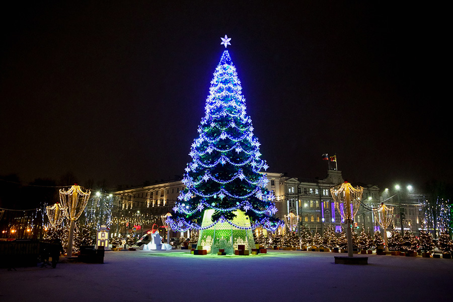Главная новогодняя ёлка в Воронеже