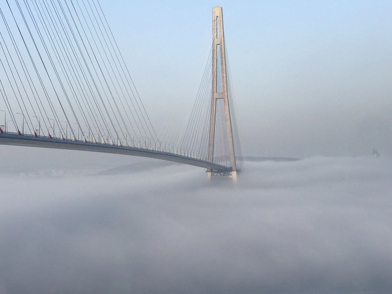 РБК Приморье