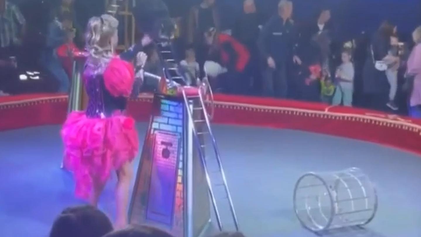 В Ленобласти семь человек пострадали при обрушении трибуны цирка