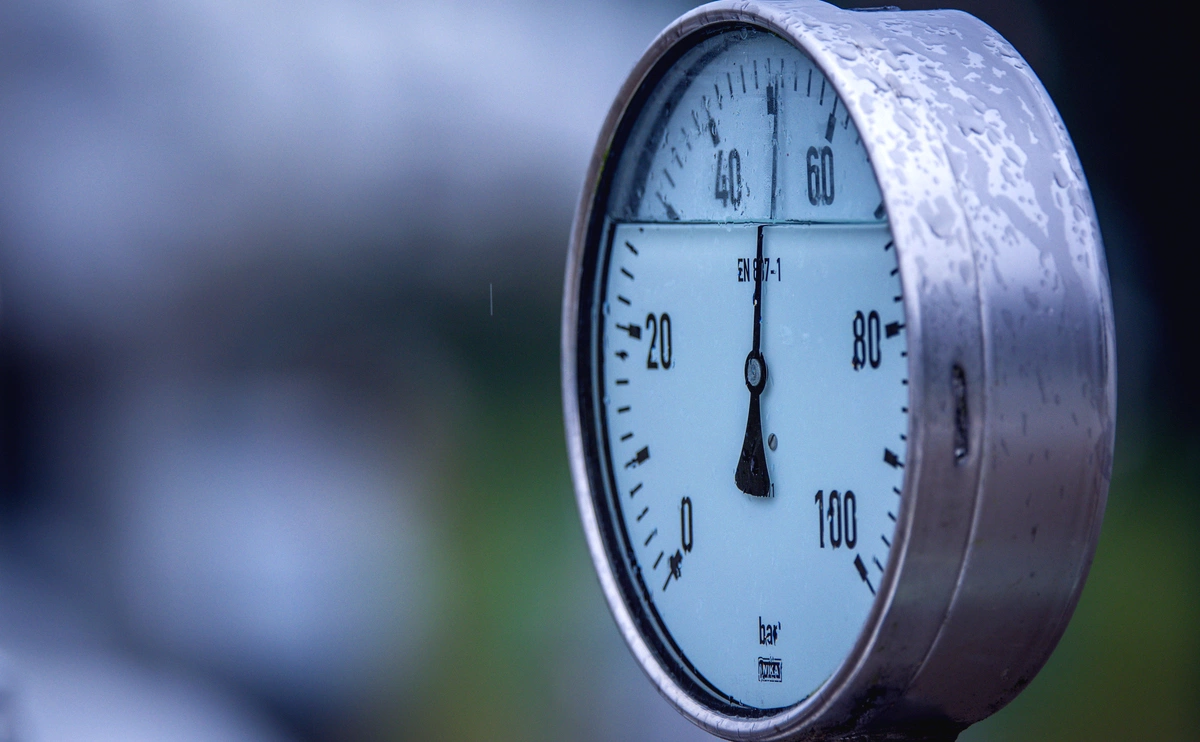 Jens Büttner / DPA / ТАСС