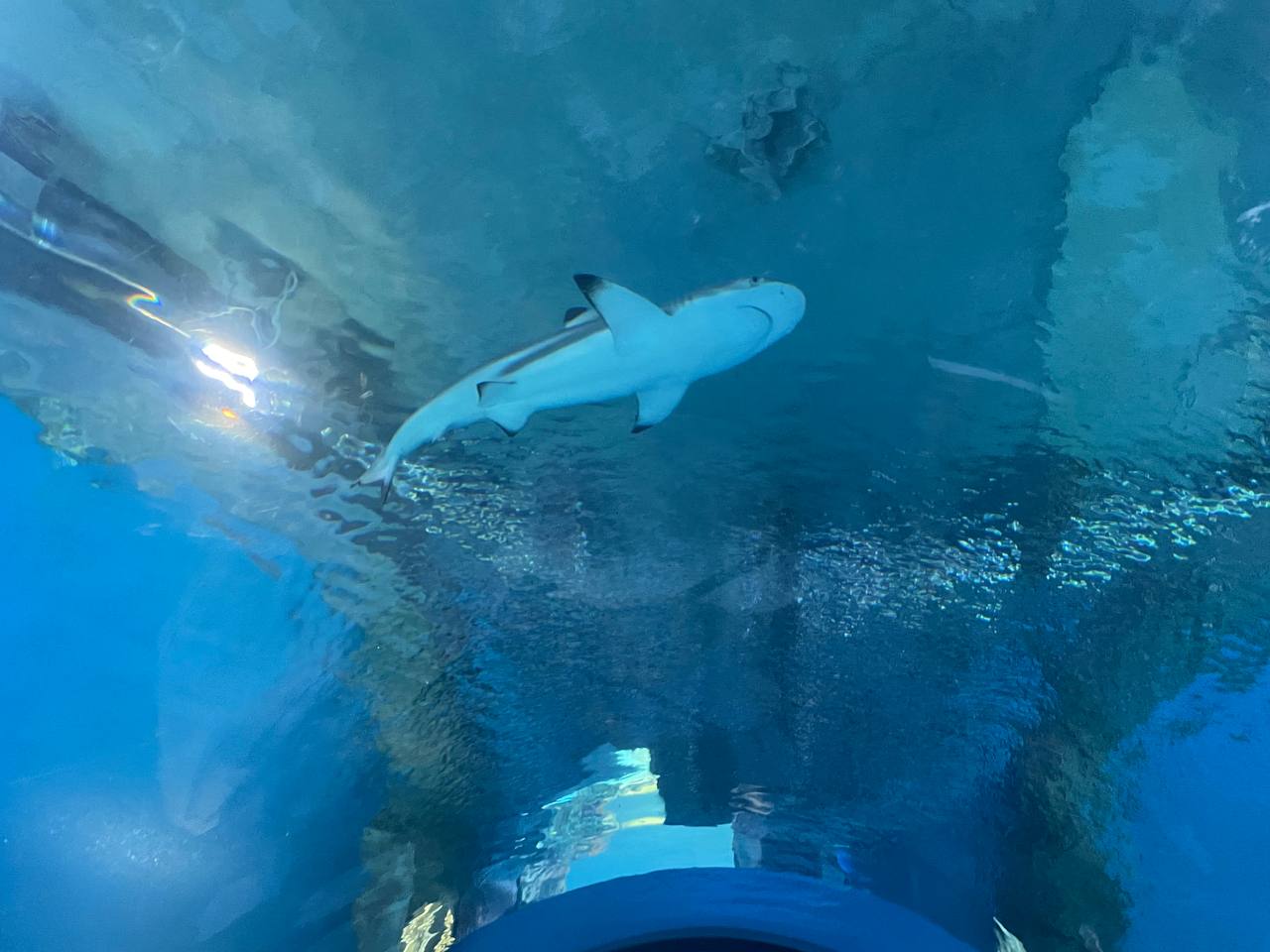 Фото: Марина Маркевич