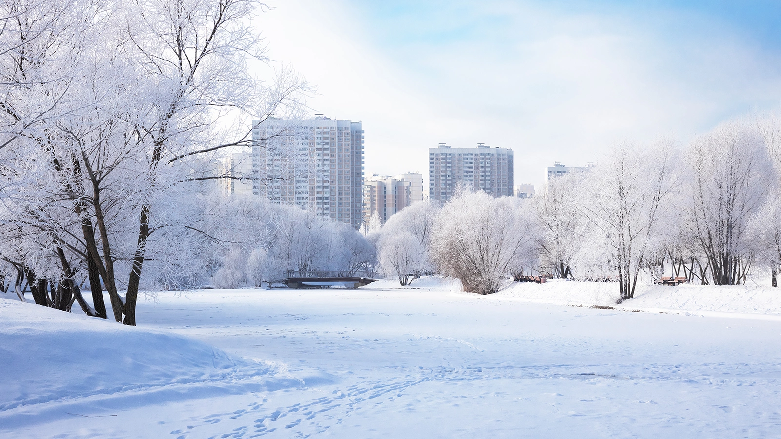 Москвичей предупредили о рекордно высоком атмосферном давлении