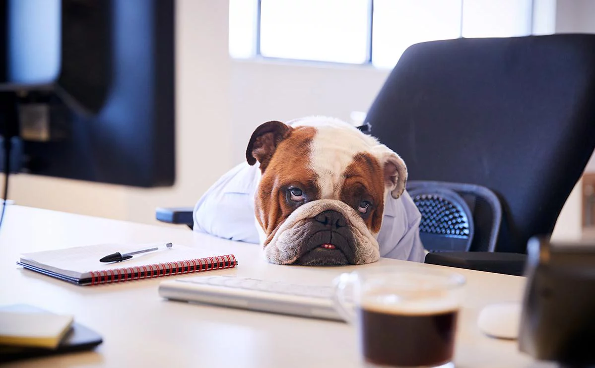 Monkey Business Images / Fotodom / Shutterstock