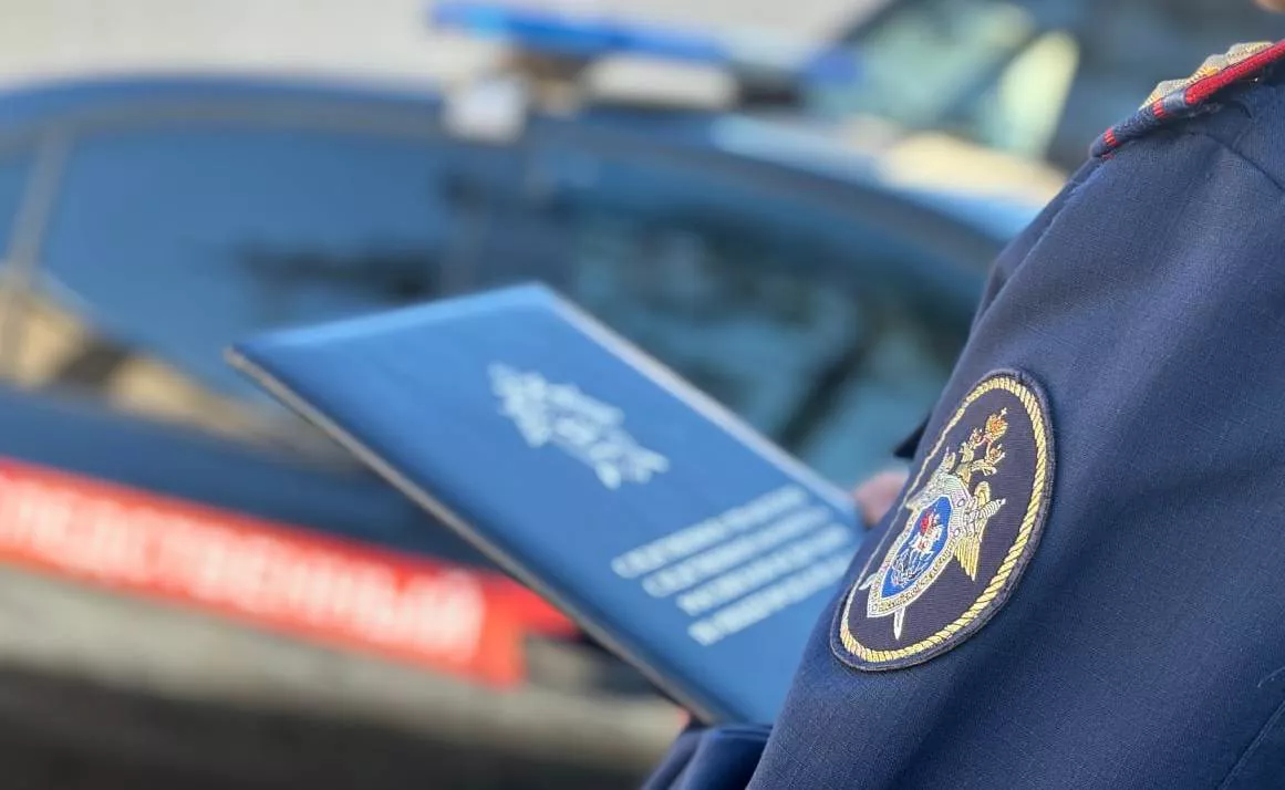 СУ СК по Нижегородской области