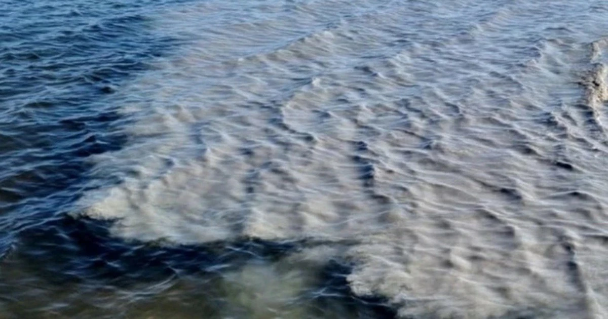 Администрация Пионерского