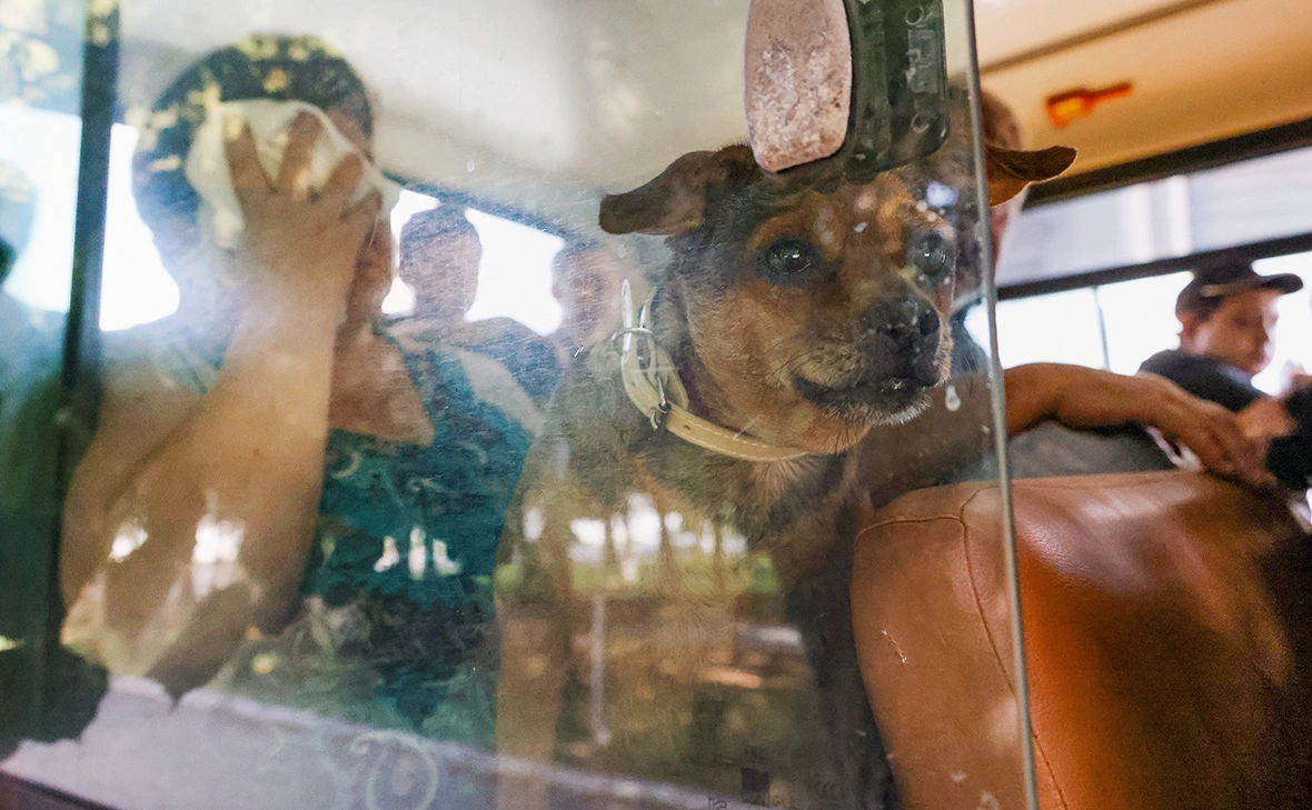 Владимир Гердо / ТАСС