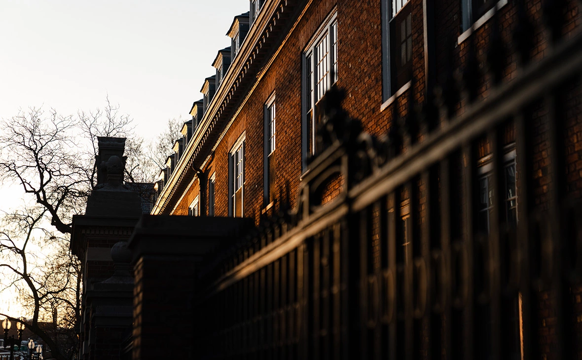 Sophie Park / Getty Images