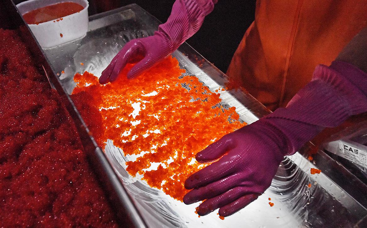 Росрыболовство спрогнозировало резкий рост производства красной икры