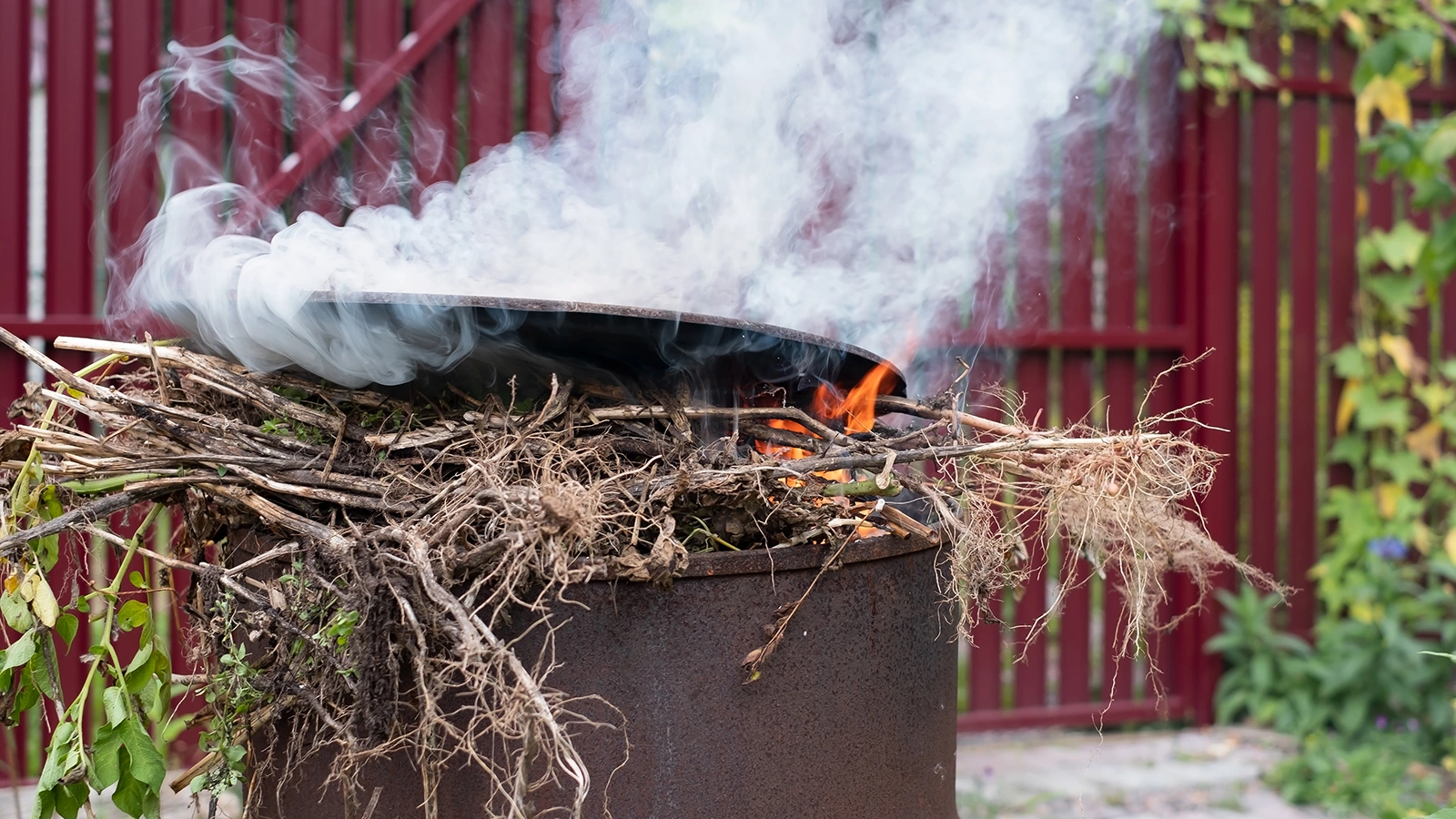 Что грозит дачникам за сжигание мусора. Мы все узнали