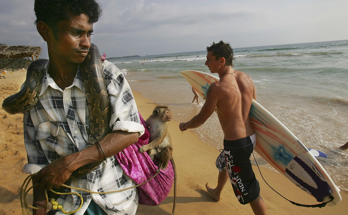 Paula Bronstein / Getty Images