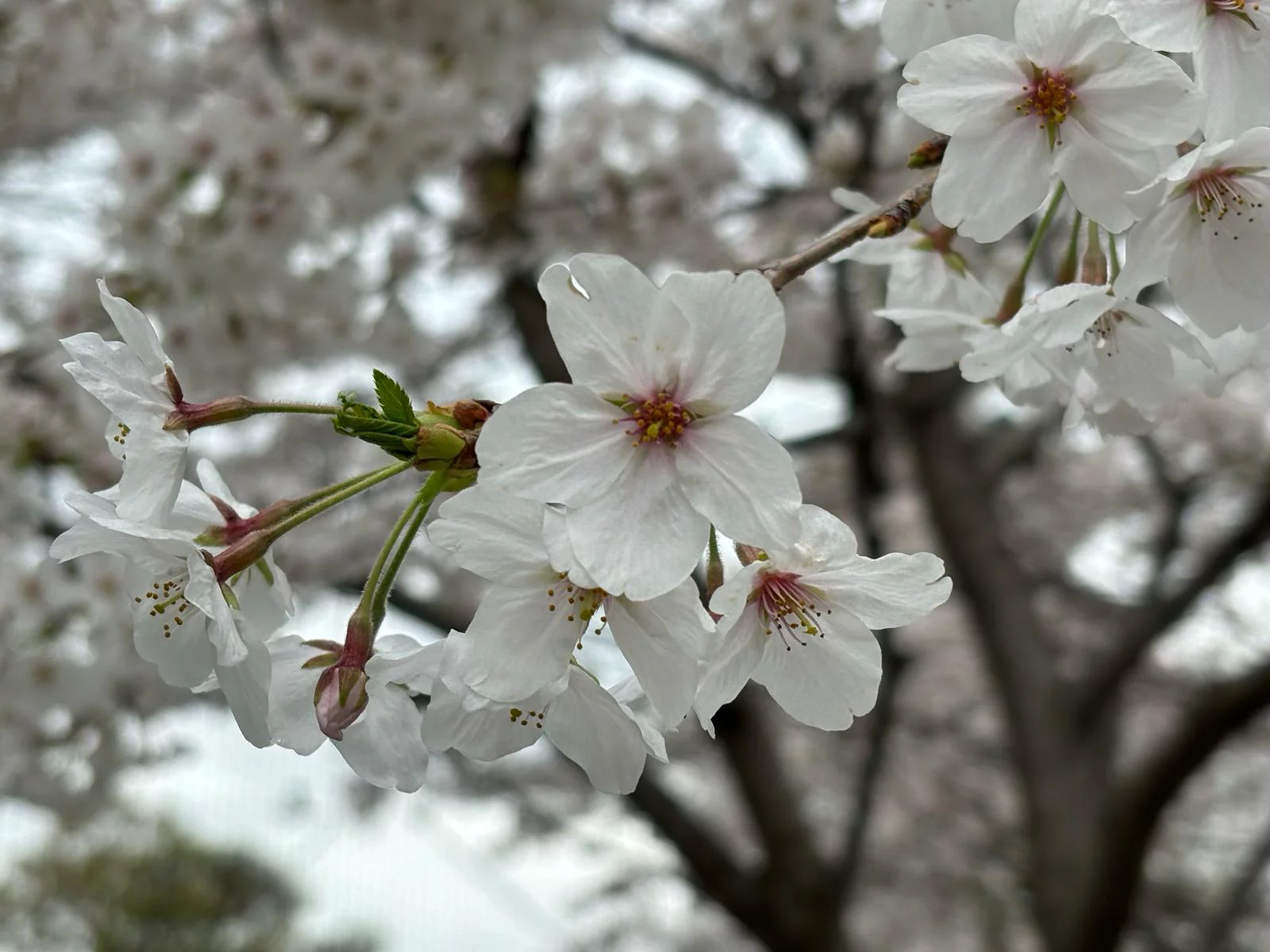 РБК Приморье