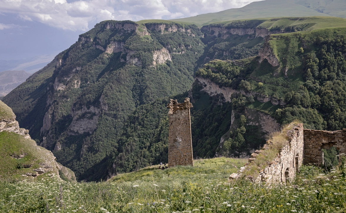 Елена Афонина / ТАСС