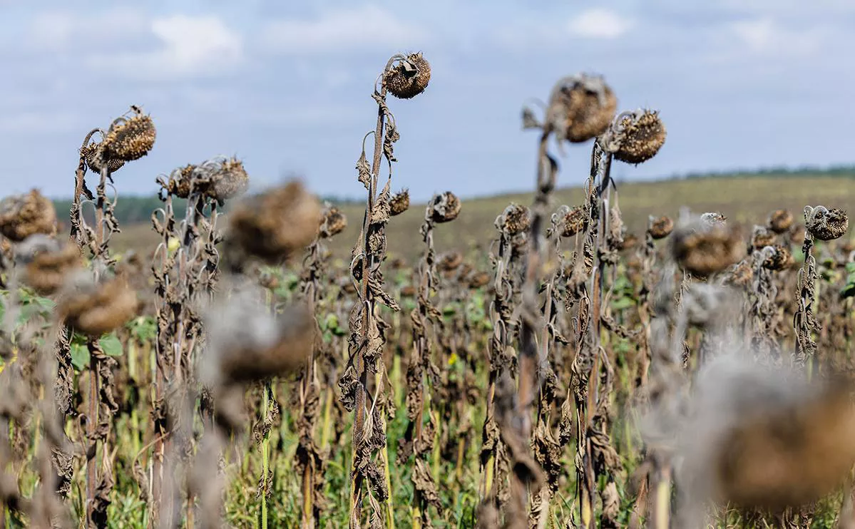 Jens Schlueter / Getty Images