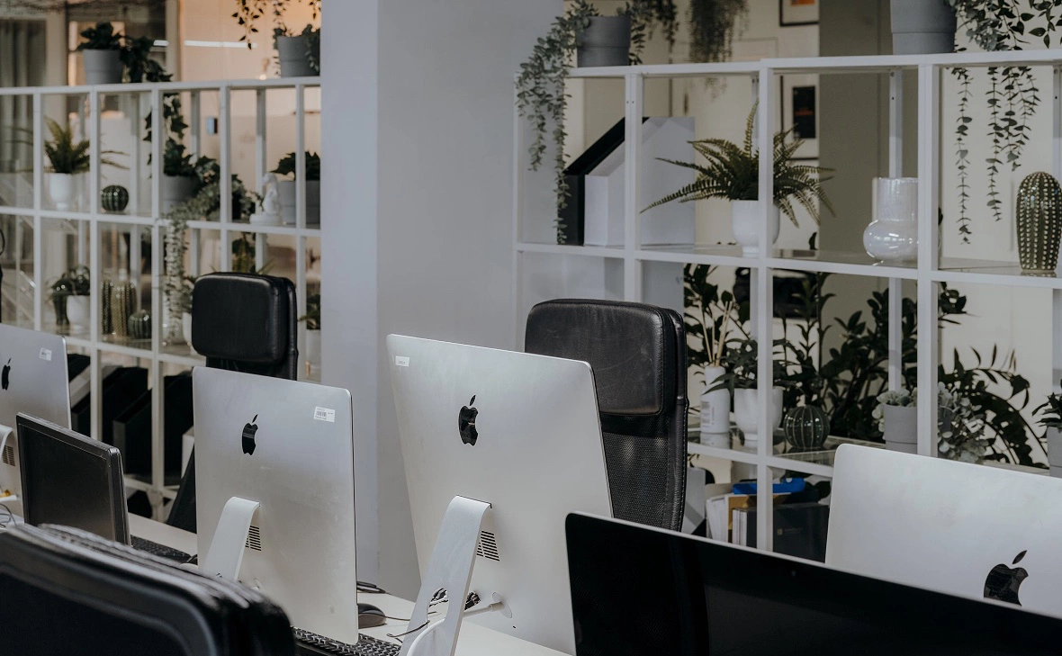 Михаил Гребенщиков / РБК