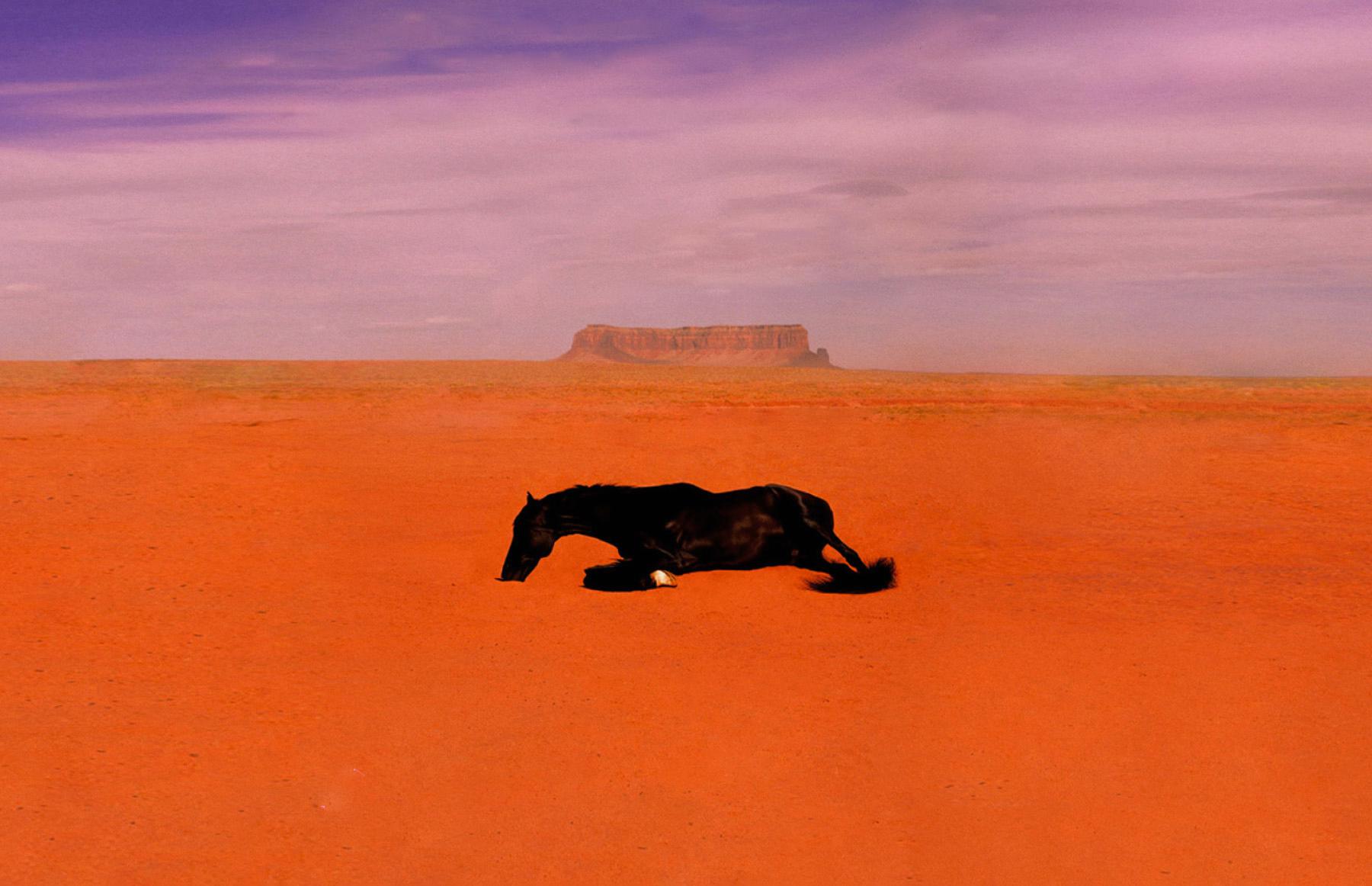 Фото: пресс-служба