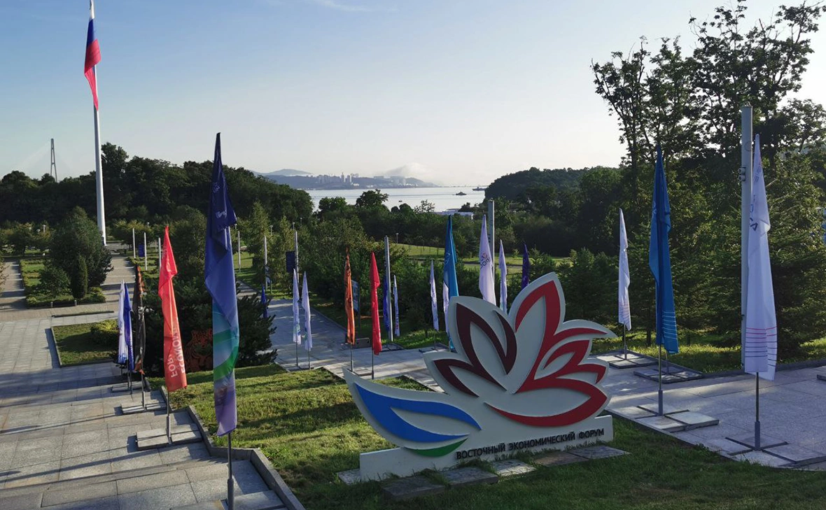 Евгения Стогова / РБК