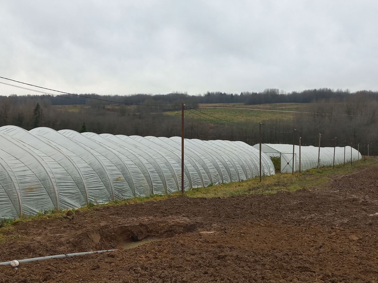 Фото: официальная страница Вячеслава Панова